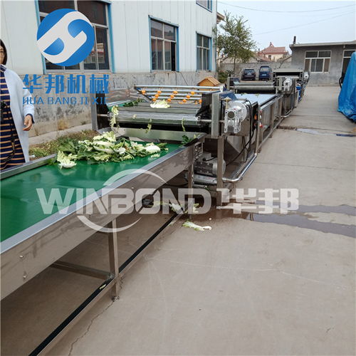 【蔬菜清洗設(shè)備,果蔬清洗機,凈菜加工設(shè)備】- 