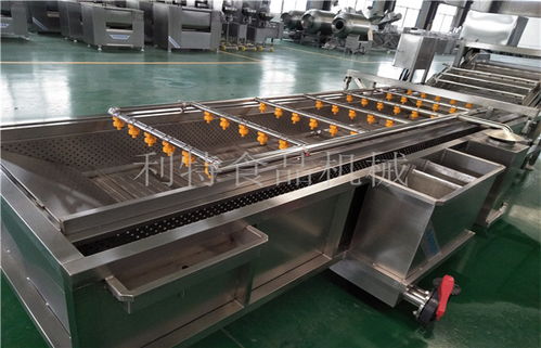 青蘿卜清洗設(shè)備規(guī)格品質(zhì) 諸城市利特食品機(jī)械